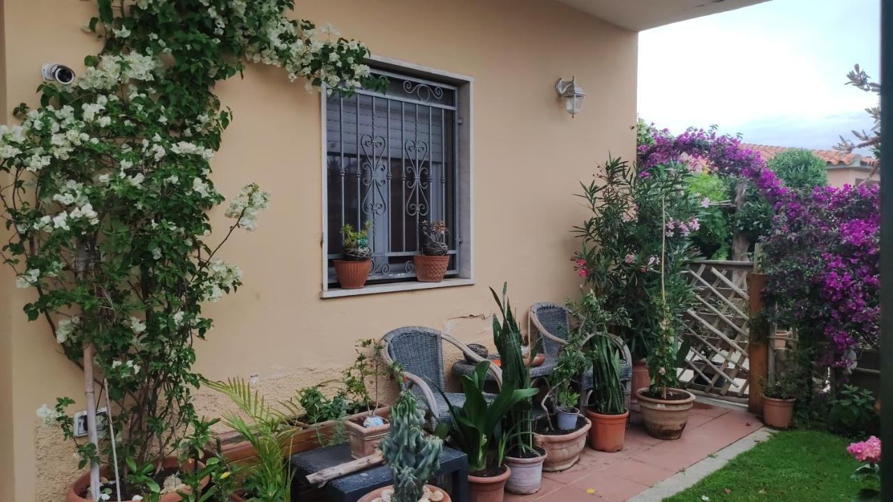 דירות אולביה La Casa Di Luca מראה חיצוני תמונה