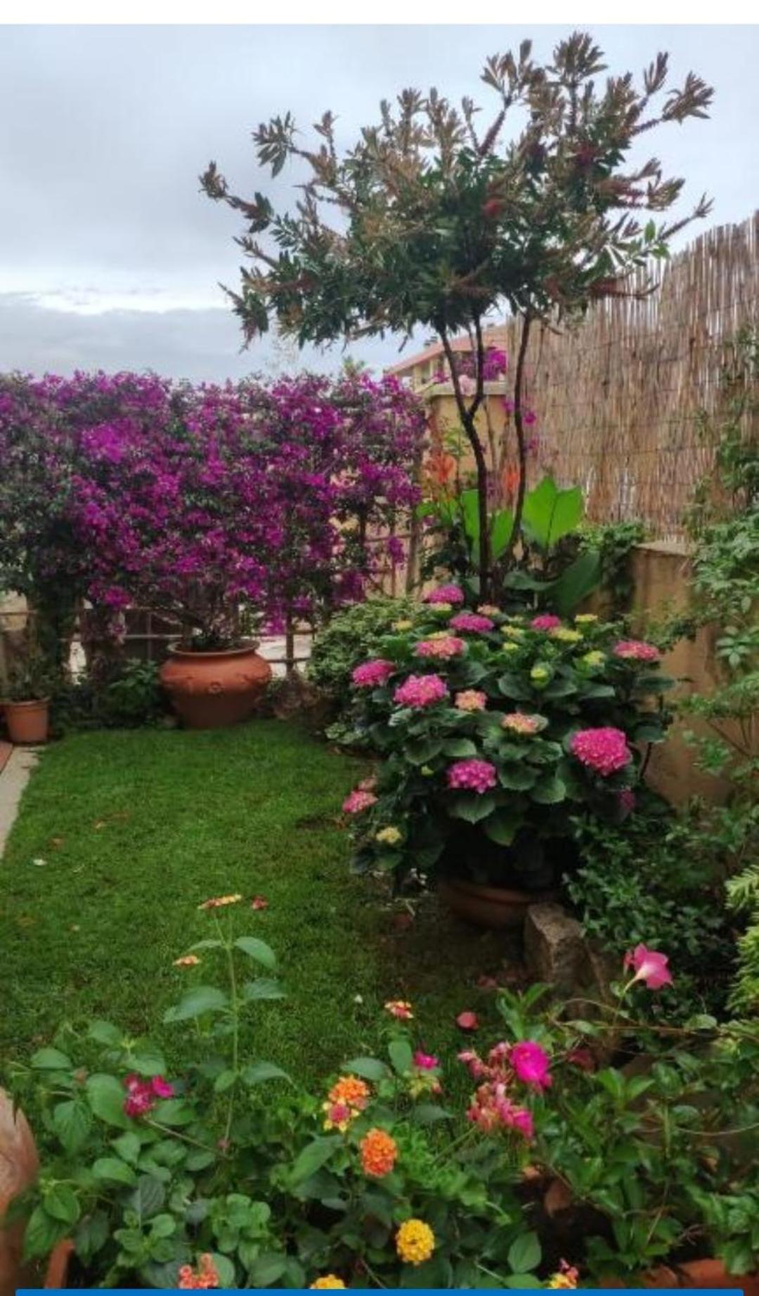 דירות אולביה La Casa Di Luca מראה חיצוני תמונה